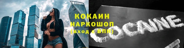 шишки Верхний Тагил