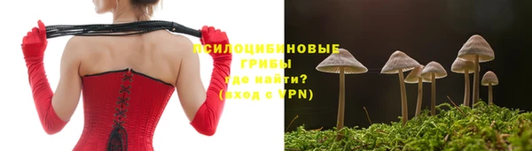 шишки Верхний Тагил