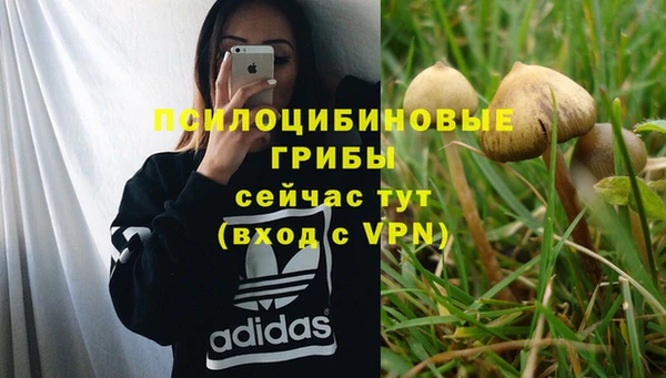 сатива Семёнов